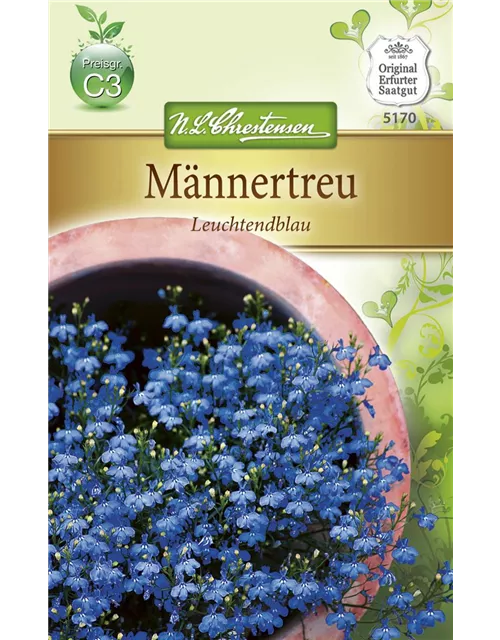 Lobeliensamen 'Leuchtendblau'