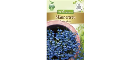Lobeliensamen 'Leuchtendblau'