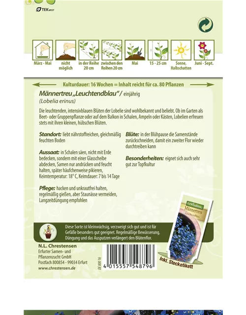 Lobeliensamen 'Leuchtendblau'