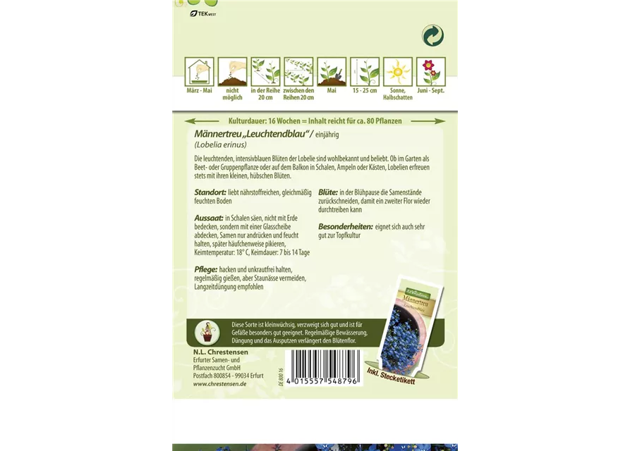 Lobeliensamen 'Leuchtendblau'