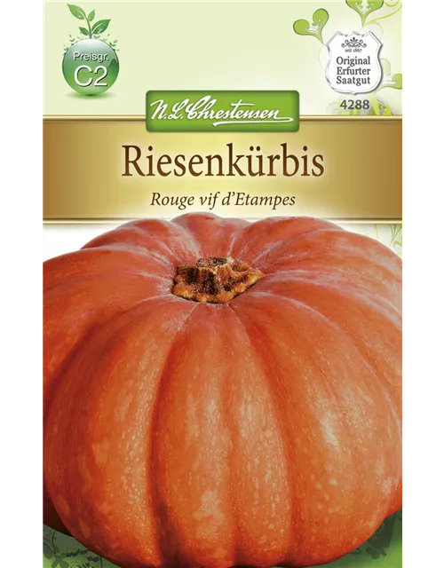 Kürbissamen 'Rouge vif d´Etampes'