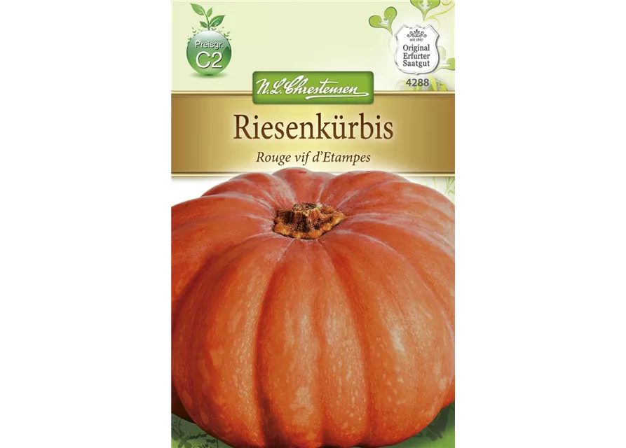 Kürbissamen 'Rouge vif d´Etampes'