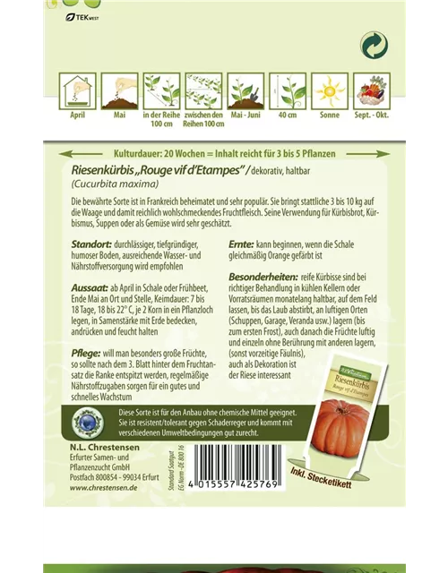 Kürbissamen 'Rouge vif d´Etampes'