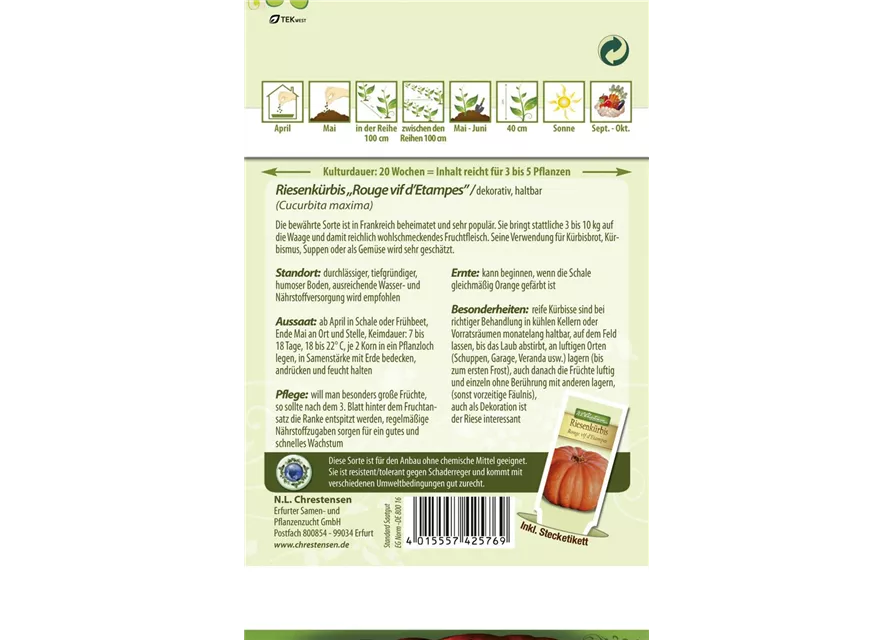 Kürbissamen 'Rouge vif d´Etampes'