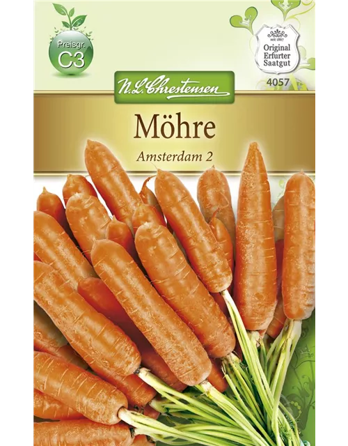 Möhresamen 'Amsterdam 2'