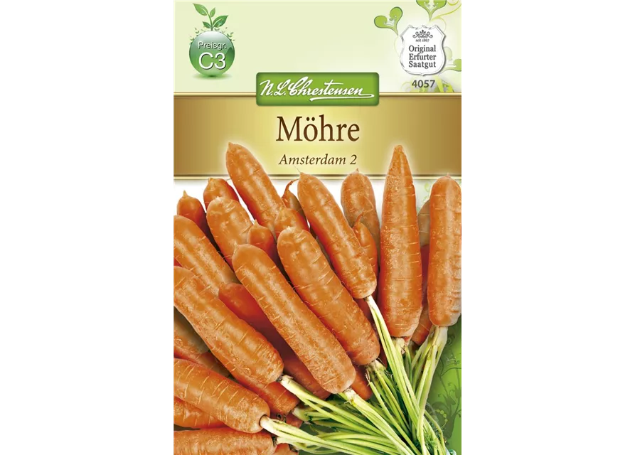 Möhresamen 'Amsterdam 2'