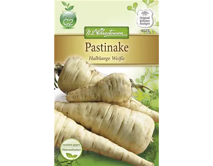 Pastinakensamen 'Halblange Weiße'