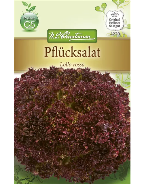 Pflücksalatsamen 'Lollo rosso'