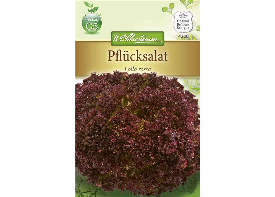 Pflücksalatsamen 'Lollo rosso'