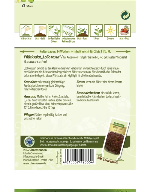 Pflücksalatsamen 'Lollo rosso'