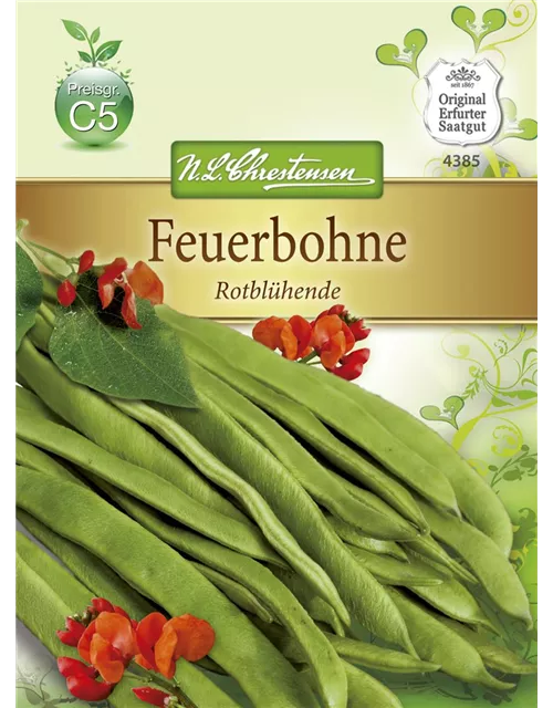 Prunkbohnensamen 'Rotblühende'