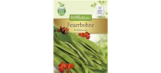 Prunkbohnensamen 'Rotblühende'