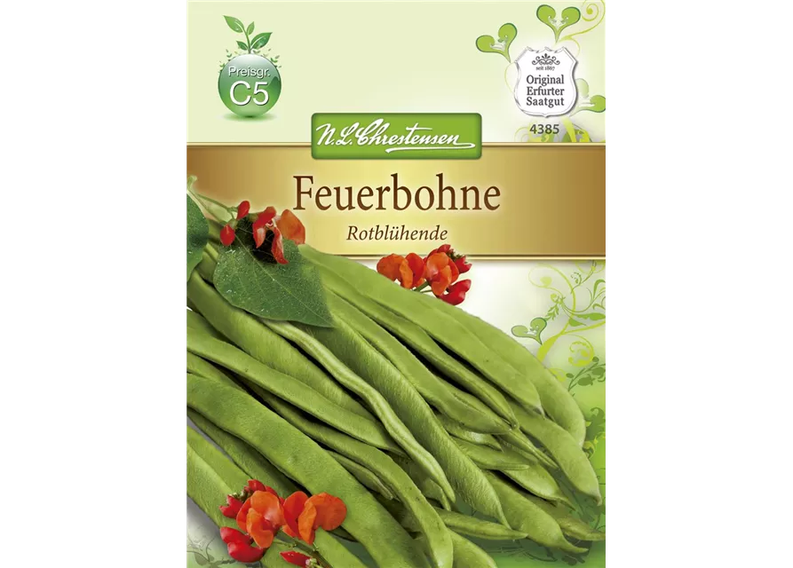 Prunkbohnensamen 'Rotblühende'