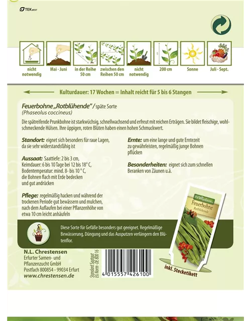 Prunkbohnensamen 'Rotblühende'