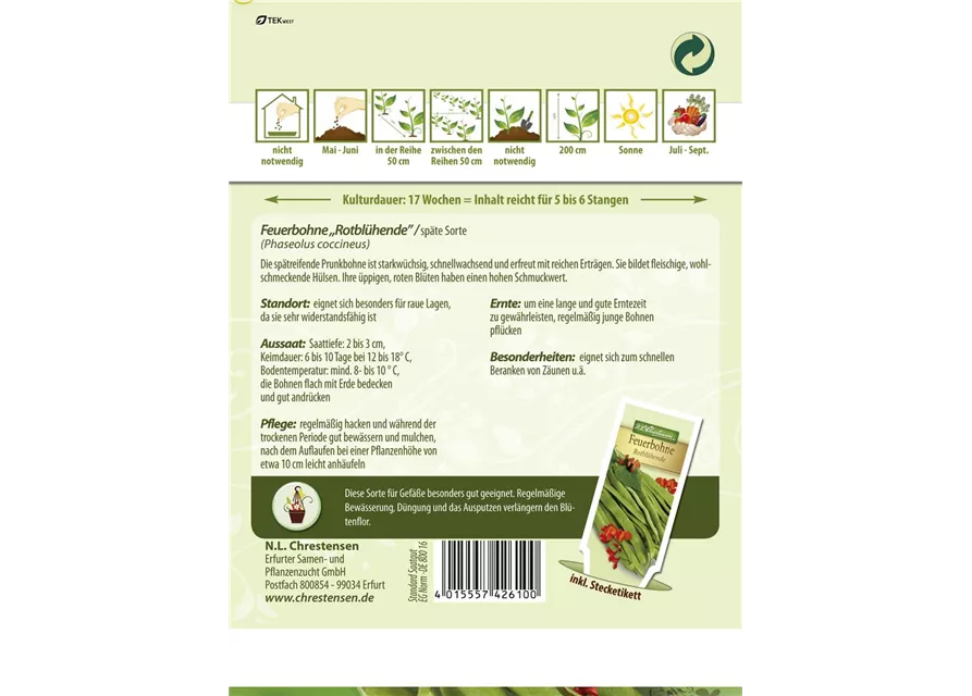 Prunkbohnensamen 'Rotblühende'