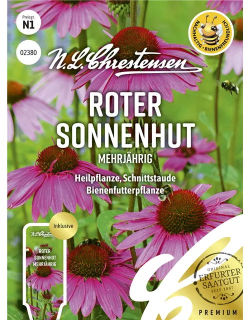 Purpursonnenhutsamen