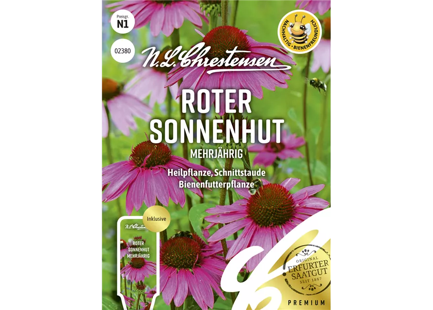 Purpursonnenhutsamen