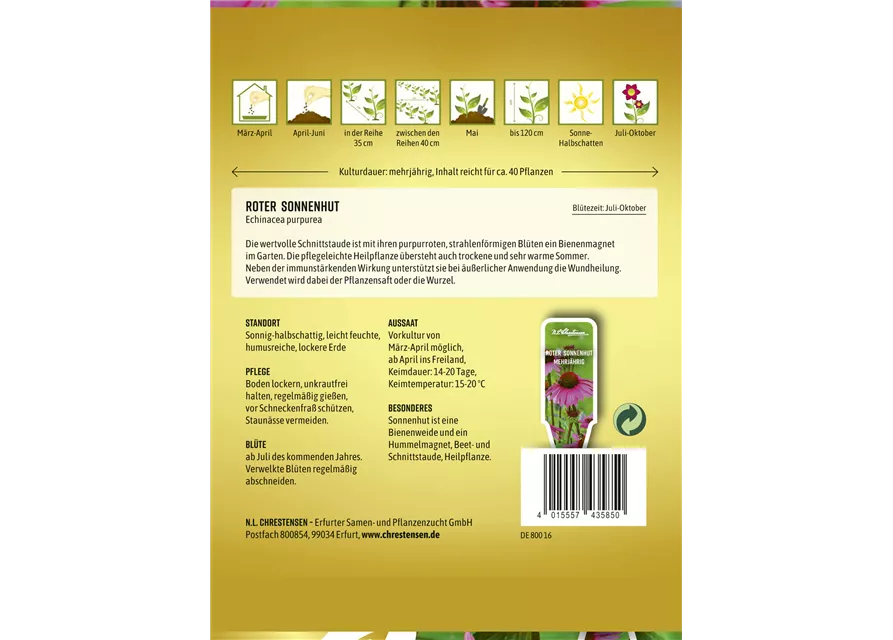 Purpursonnenhutsamen