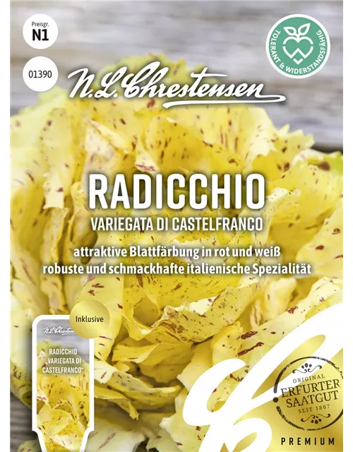 Radicchiosamen 'Variegata di Castelfranco'