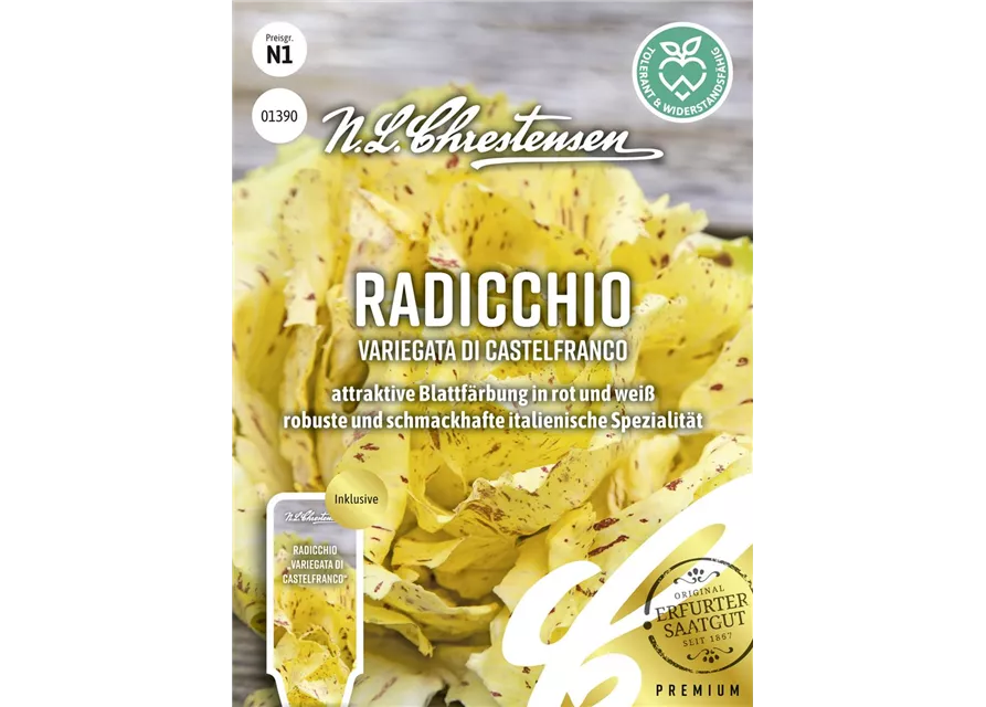 Radicchiosamen 'Variegata di Castelfranco'