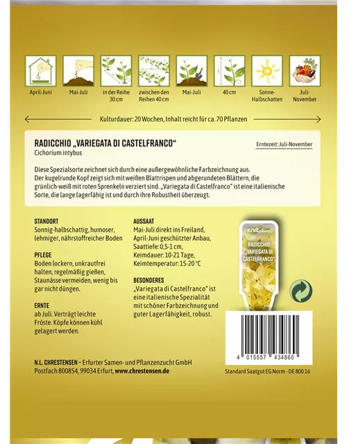 Radicchiosamen 'Variegata di Castelfranco'