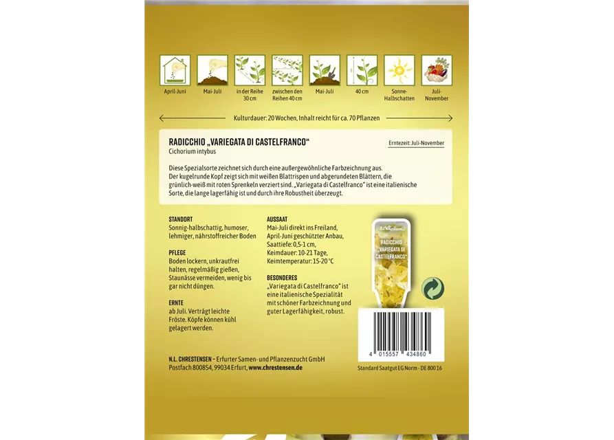 Radicchiosamen 'Variegata di Castelfranco'