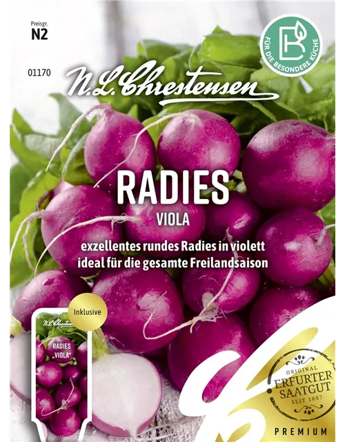 Radieschensamen 'Viola'