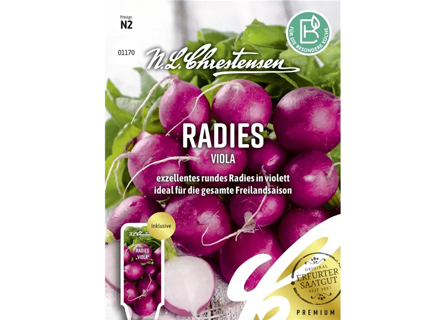 Radieschensamen 'Viola'