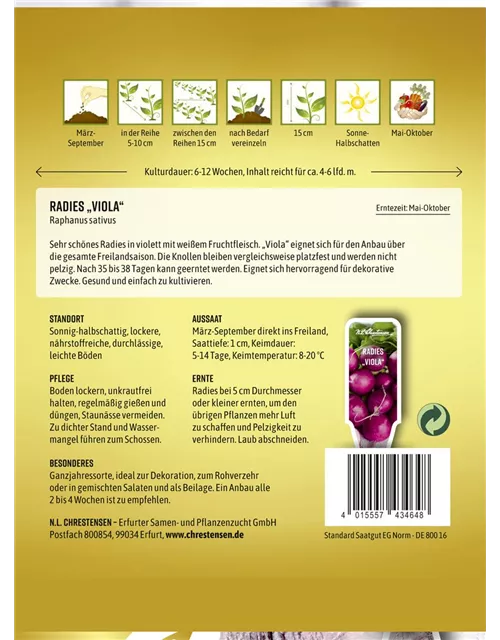 Radieschensamen 'Viola'