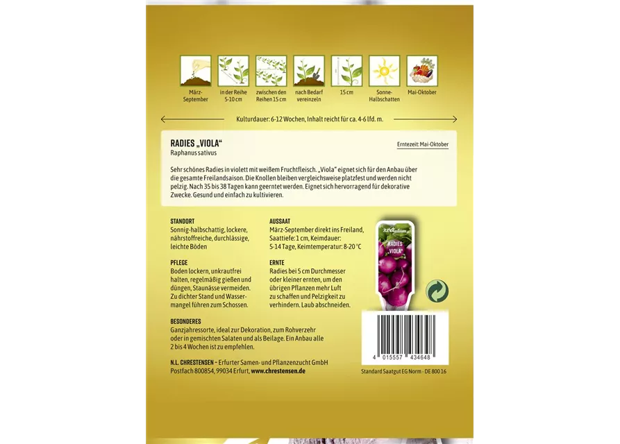 Radieschensamen 'Viola'