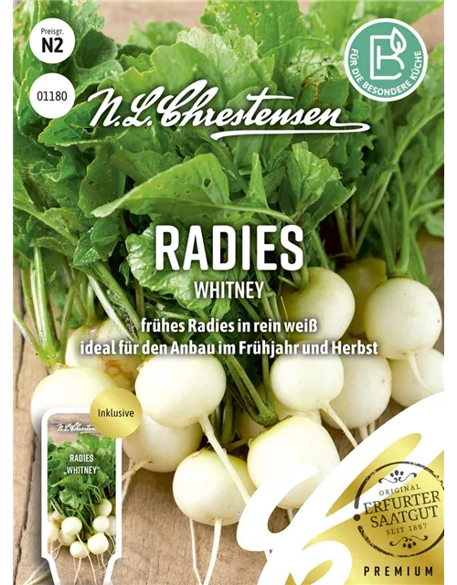 Radieschensamen 'Whitney'
