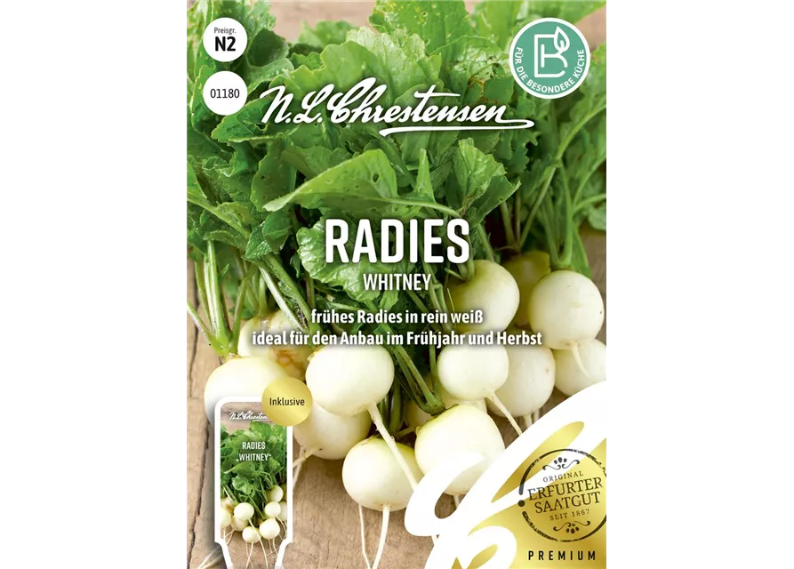 Radieschensamen 'Whitney'