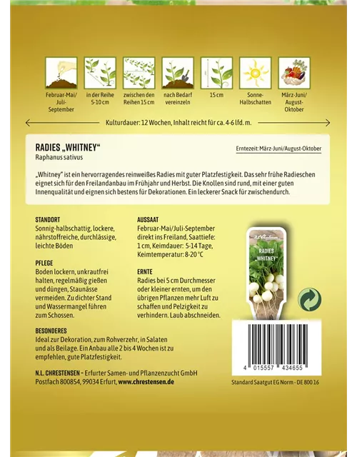 Radieschensamen 'Whitney'