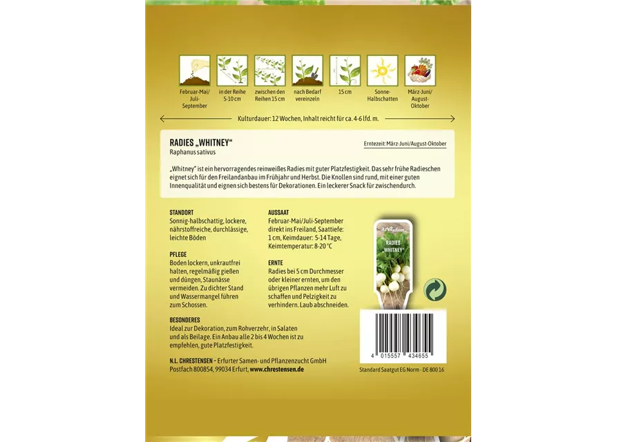 Radieschensamen 'Whitney'