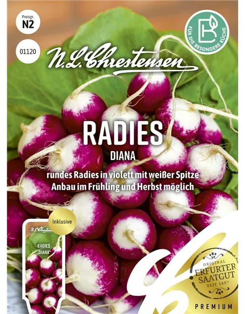 Radieschensamen 'Diana'