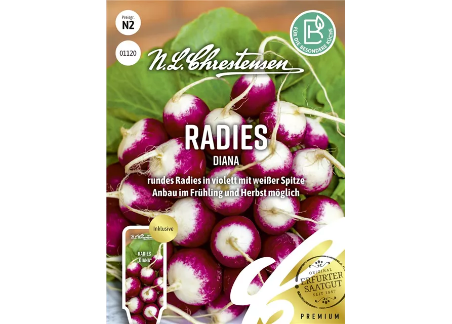 Radieschensamen 'Diana'