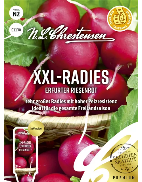 Radieschensamen 'Erfurter Riesenrot'