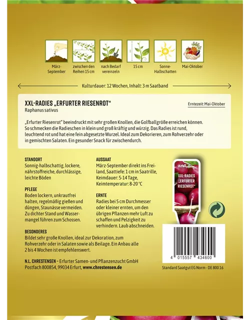 Radieschensamen 'Erfurter Riesenrot'