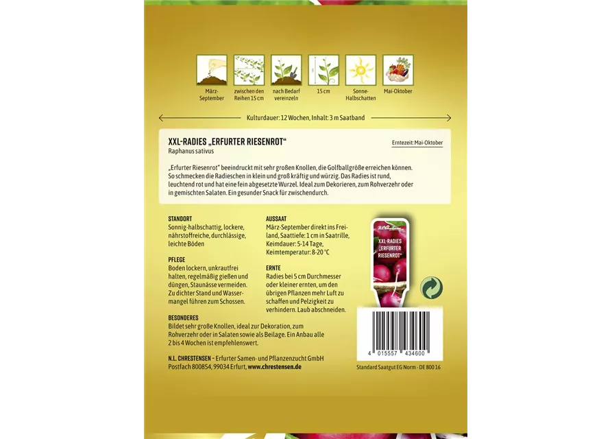 Radieschensamen 'Erfurter Riesenrot'