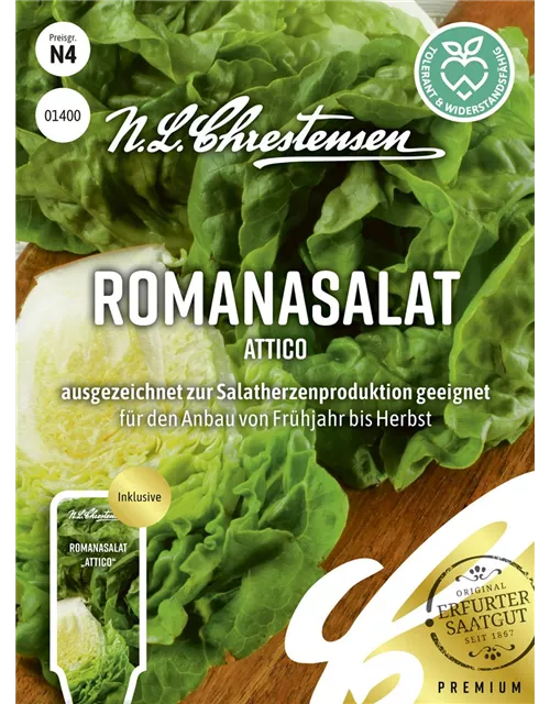 Romanasalatsamen 'Attico'