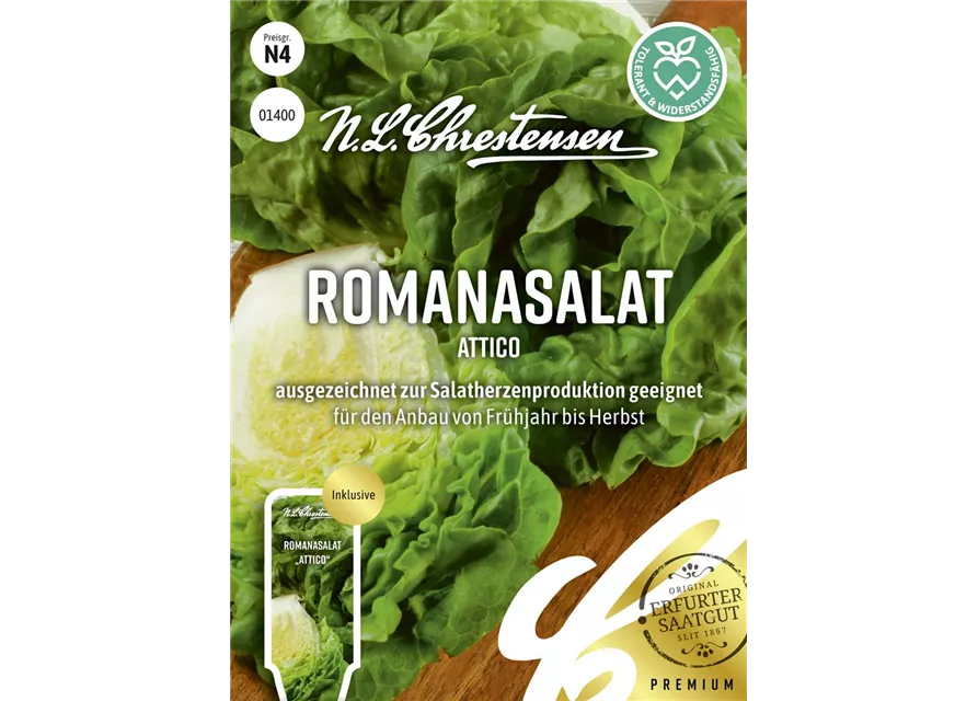Romanasalatsamen 'Attico'