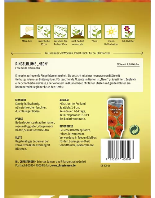 Ringelblumensamen 'Neon'