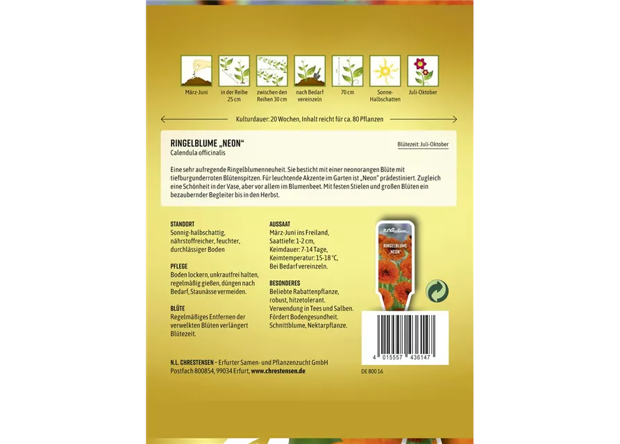 Ringelblumensamen 'Neon'