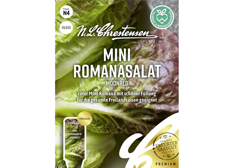 Romanasalatsamen 'Moonred'