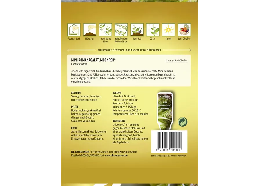 Romanasalatsamen 'Moonred'