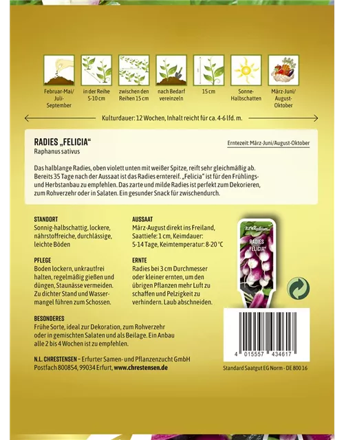 Radieschensamen 'Felicia'