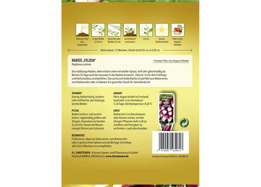 Radieschensamen 'Felicia'