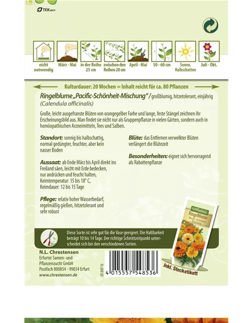 Ringelblumensamen 'Pazifik Schönheit'
