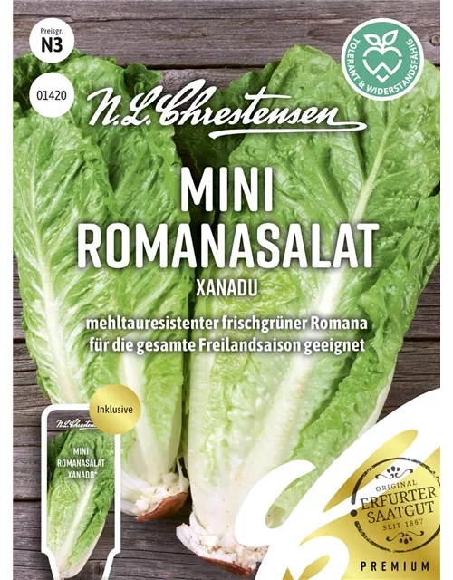 Romanasalatsamen 'Xanadu'