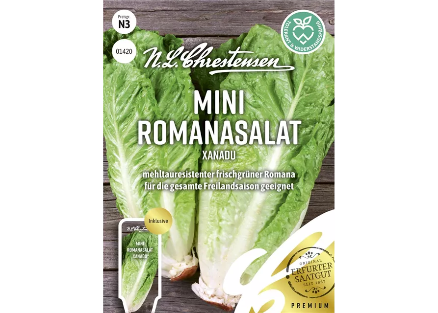 Romanasalatsamen 'Xanadu'